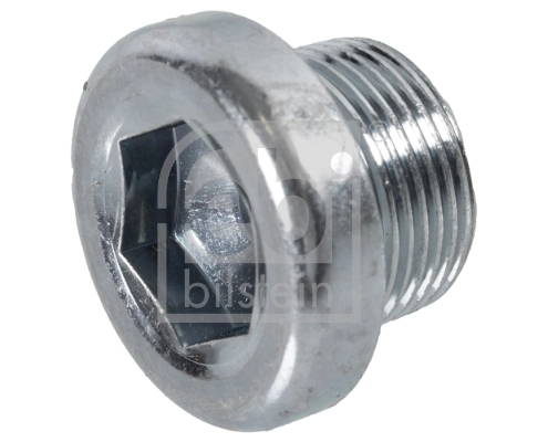 Screw Plug, automatic transmission casing